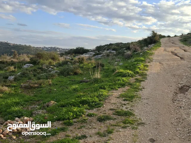 Mixed Use Land for Sale in Tulkarm Kafr Sur