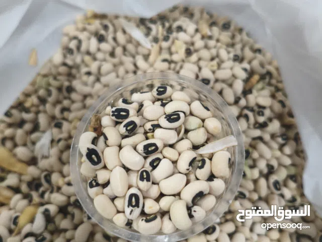 لوبا محليه من مزارع جنوب ايران