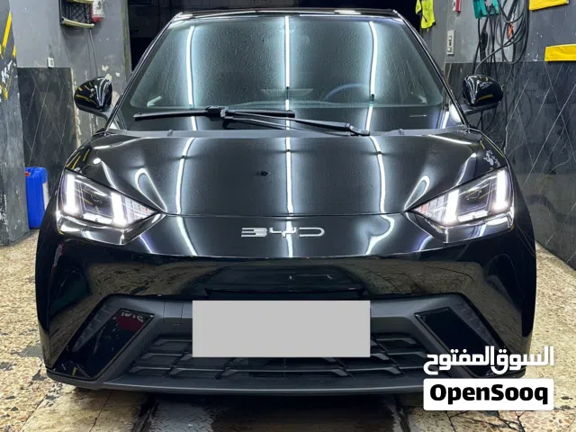 2023, بي واي دي, سيجول