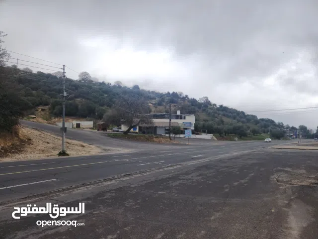 Farm Land for Sale in Amman Bilal