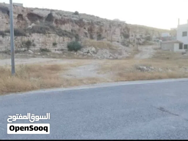 Residential Land for Sale in Amman Shafa Badran