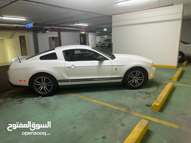 Mustang 6 Cyl. Mint Condition موستنج