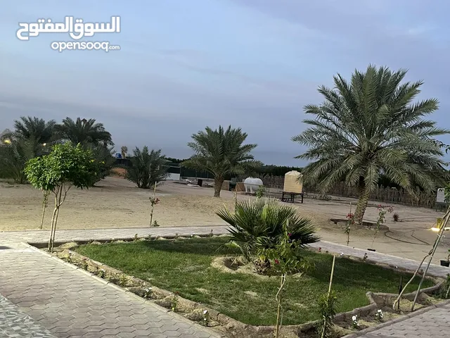 3 Bedrooms Chalet for Rent in Al Jahra Abdali