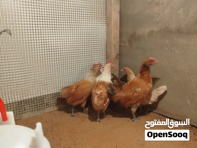 إنتاج ملكي ليموني