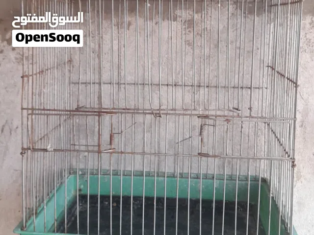 قفص ببغاء بحالة جيدة