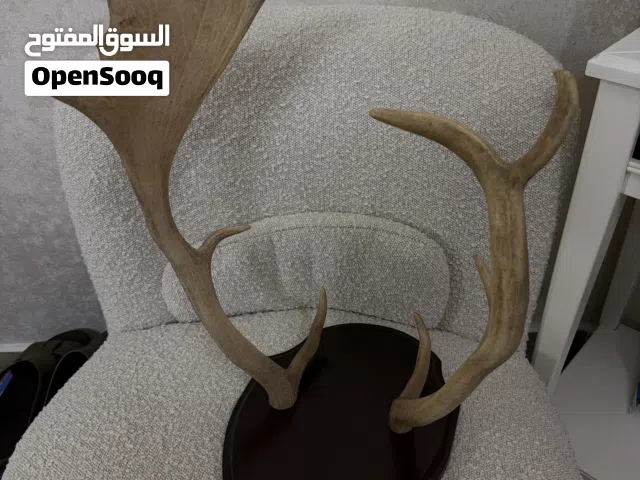 قرن غزال طبيعي مع خشب طبيعي