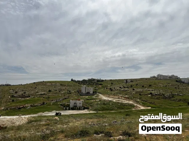 Residential Land for Sale in Amman Zinat Al-Rubue