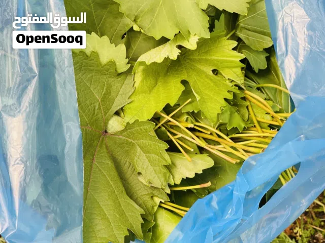 دوالي سوادي