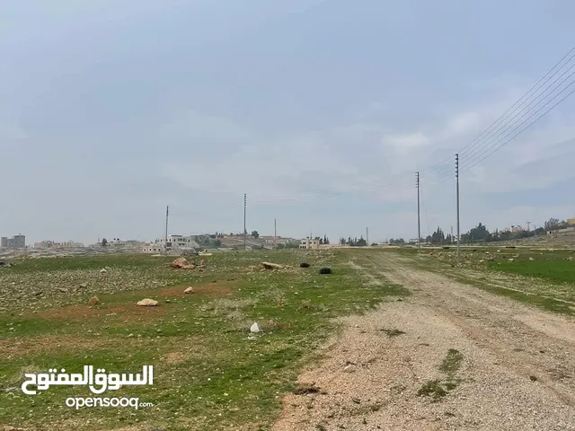 Mixed Use Land for Sale in Amman Al Lubban