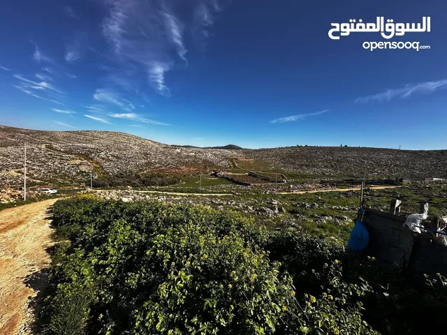 نمرة أرض للبيع او البدل ع سيارة بمنطقة روجيب مساحتها 600متر  واصلها خدمات  طابو نابلس