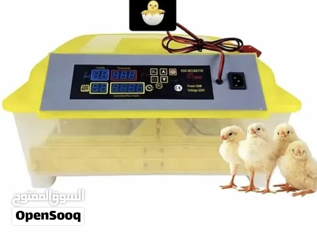 حضنه للبيع