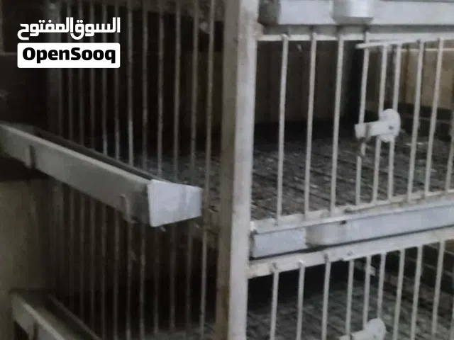 نتافة جاج معاطة وقفص جاج