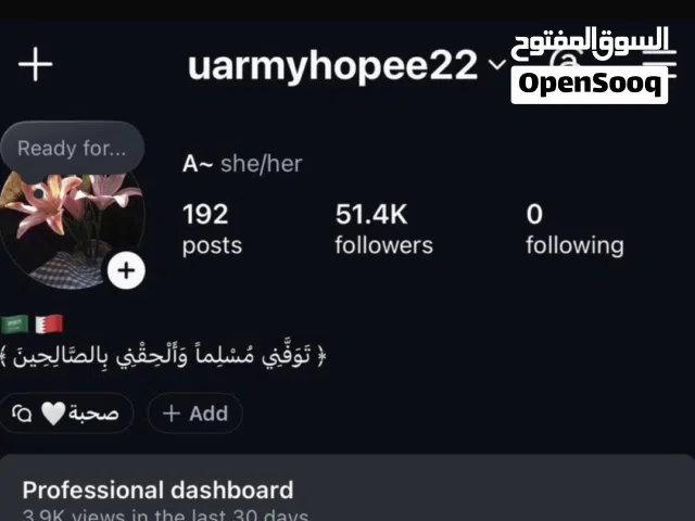 Social Media Accounts and Characters for Sale in Northern Governorate