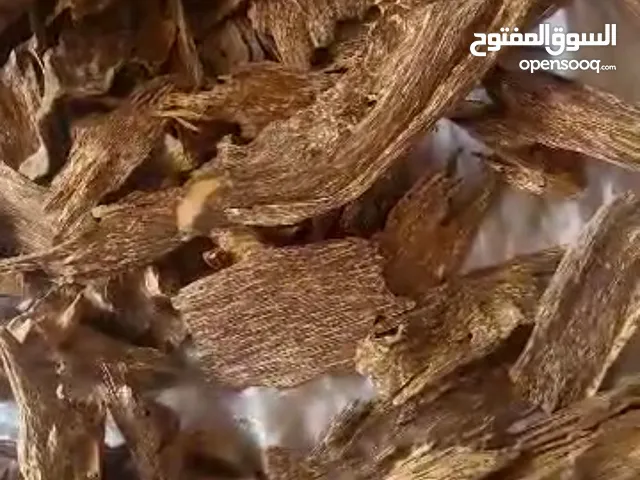 عود موروكي إرياني طبيعي حي سوبر مرتفع وسوبر