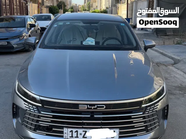 2025 بي واي دي ديستروير