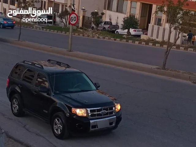 Used Ford Escape in Amman
