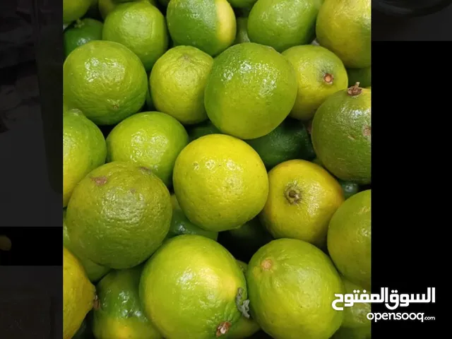 لميون عماني طازج من المزرعه بدون اي نوع من المبيدات طبيعي 100%