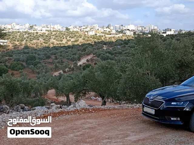 Residential Land for Sale in Salfit Pedaya