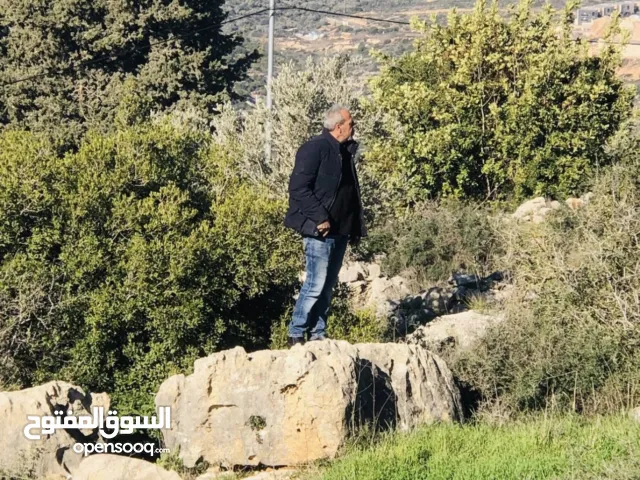 Mixed Use Land for Sale in Ramallah and Al-Bireh Al Mazra'a Al Gharbiya