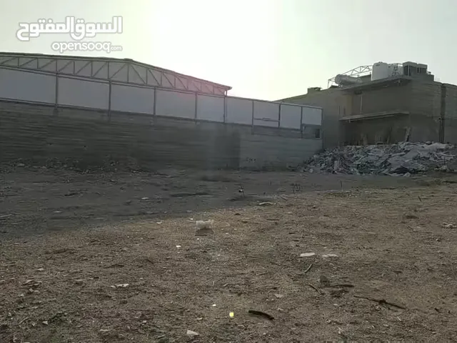 دونم ارض خلف قصر النخيل - كوشان طابو