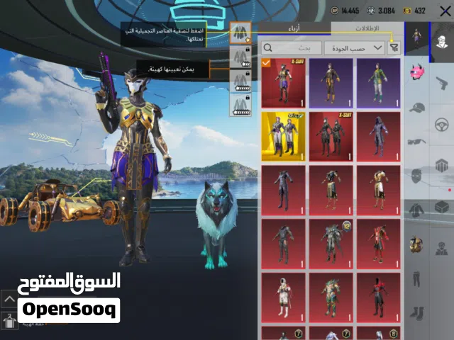 Pubg Accounts and Characters for Sale in Amman