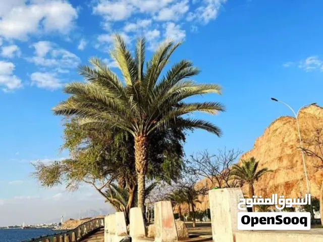 قطعة ارض للبيع في السكنية الثالثة