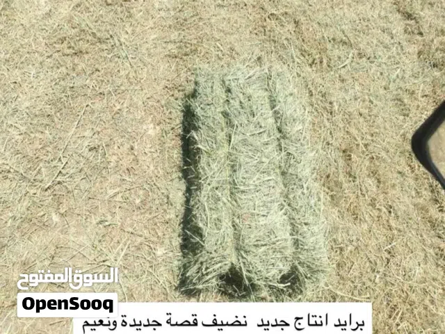 تتوفر لدينا برايد انتاج جديد ونعيم