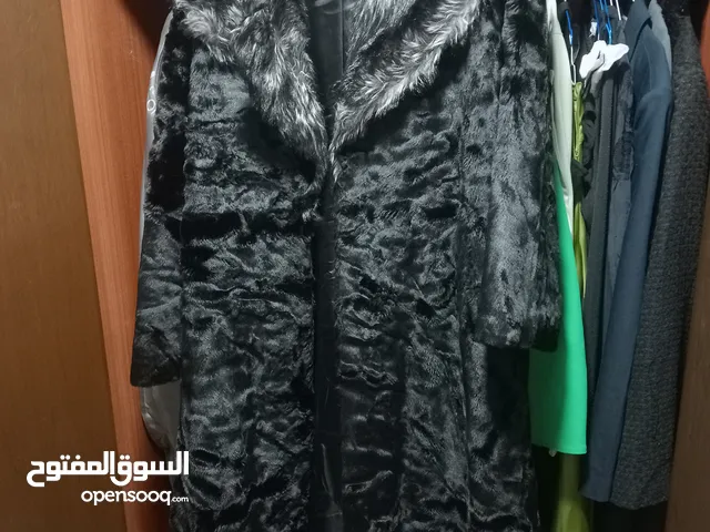 new branded coats different sizes each 65 dhs