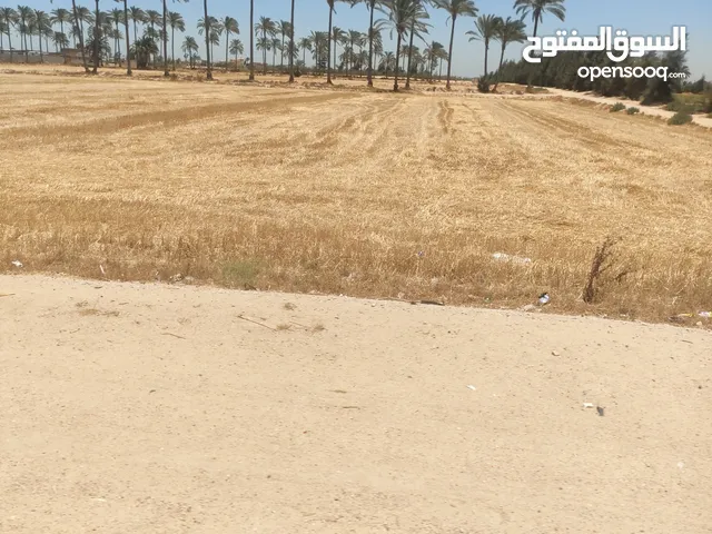 Farm Land for Sale in Alexandria Hayy Al Urubah