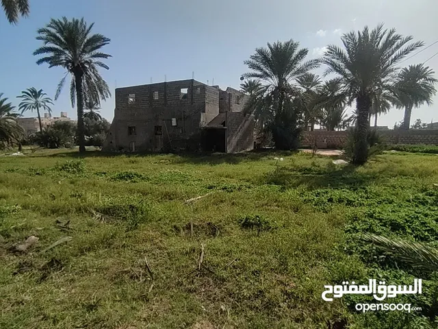 قطعة ارض 1500 متر بها منزل في الساحل للبيع