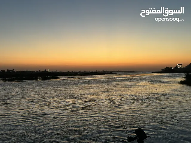 ابحث عن عمل. محاسب