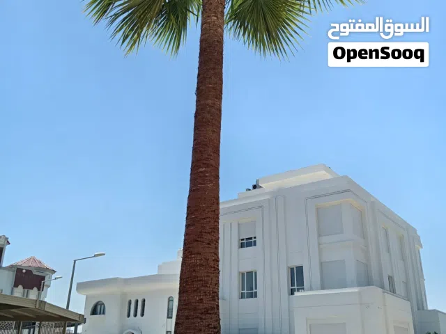 حدائق ونخيل وأشجار