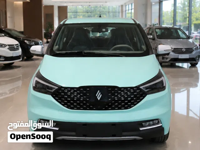 2026 جاي ام اي في EV3
