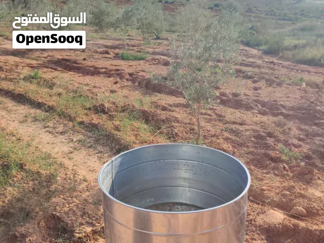 سقايات سعي