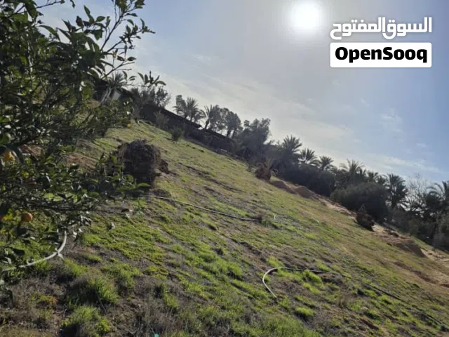 فرصة مميزة للإيجار أرض بموقع استراتيجي على طريق الرايسي