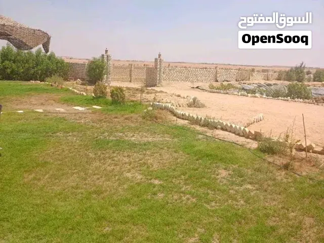 Farm Land for Sale in Fayoum Sinnuras