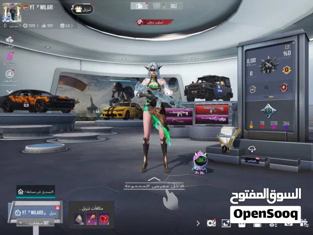 Pubg Accounts and Characters for Sale in Amman