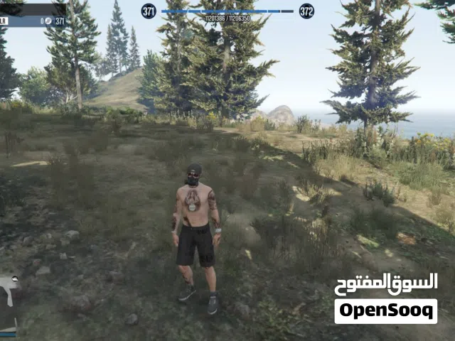 GTA Accounts and Characters for Sale in Zarqa