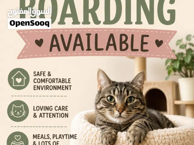 Cat Boarding Available