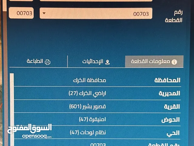 قطعة ارض استثماريه للبيع / قصور بشير / الكرك