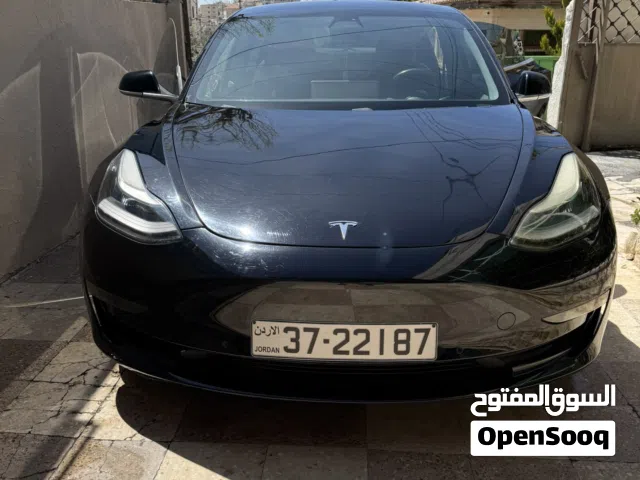 2019 تيسلا موديل 3 Standard Plus