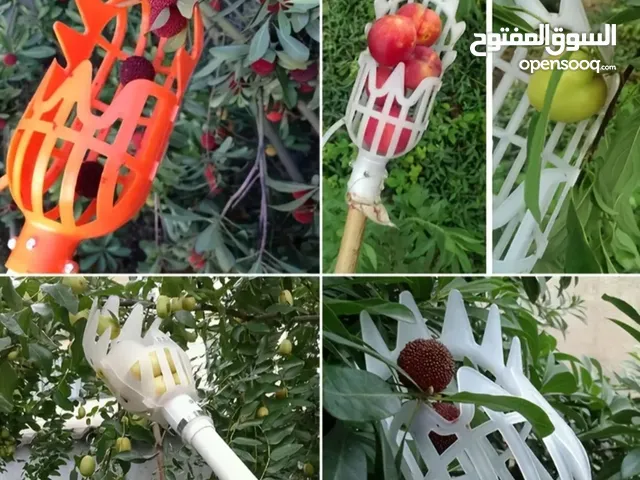 ادات قطف الفواكه