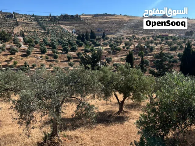 Mixed Use Land for Sale in Jerash Unaybah