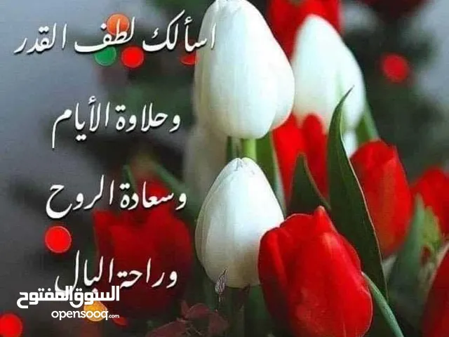 زيد