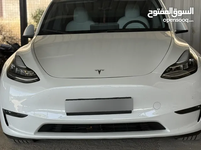 New Tesla Model Y in Amman