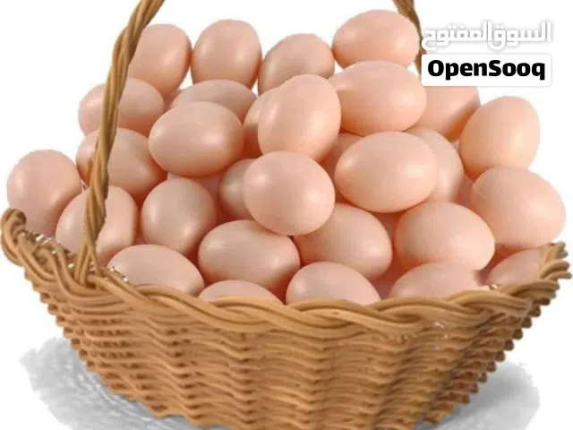 عربي مخصب دحي مخلظ