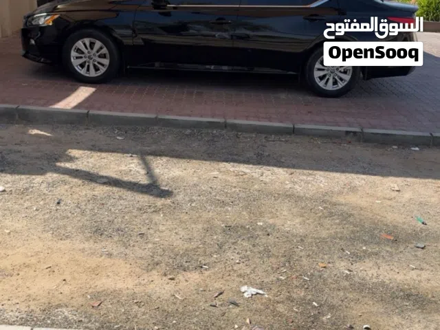 رنقات التيما (ستاندر)
