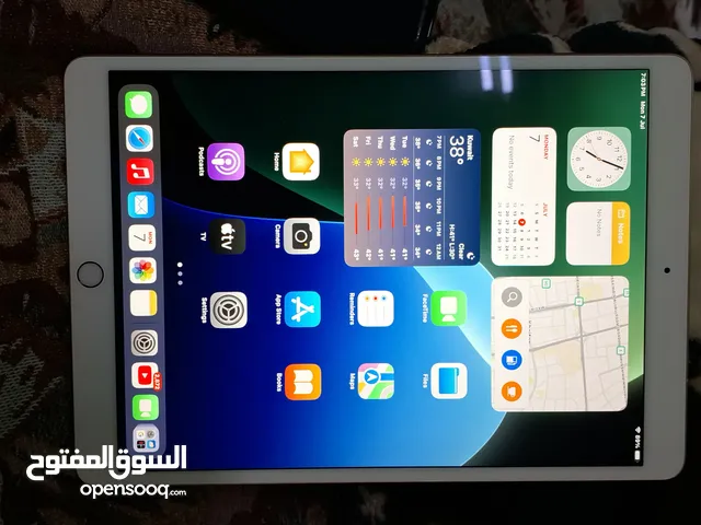 iPad Air 3 wi fi +cellular 5G 256 gb
