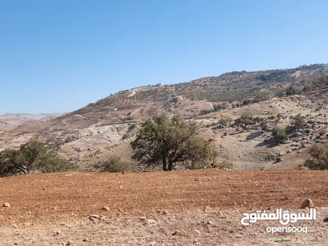 Farm Land for Sale in Salt Al Balqa'