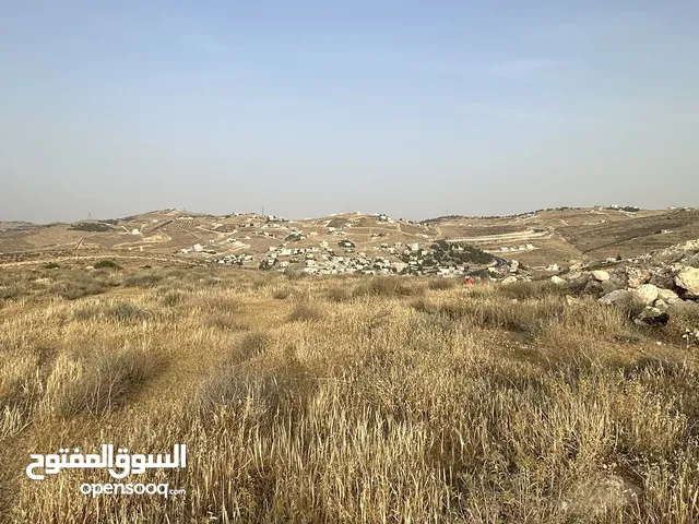 Residential Land for Sale in Zarqa Birayn